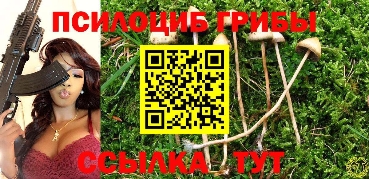 Псилоцибиновые грибы MAGIC MUSHROOMS Алатырь