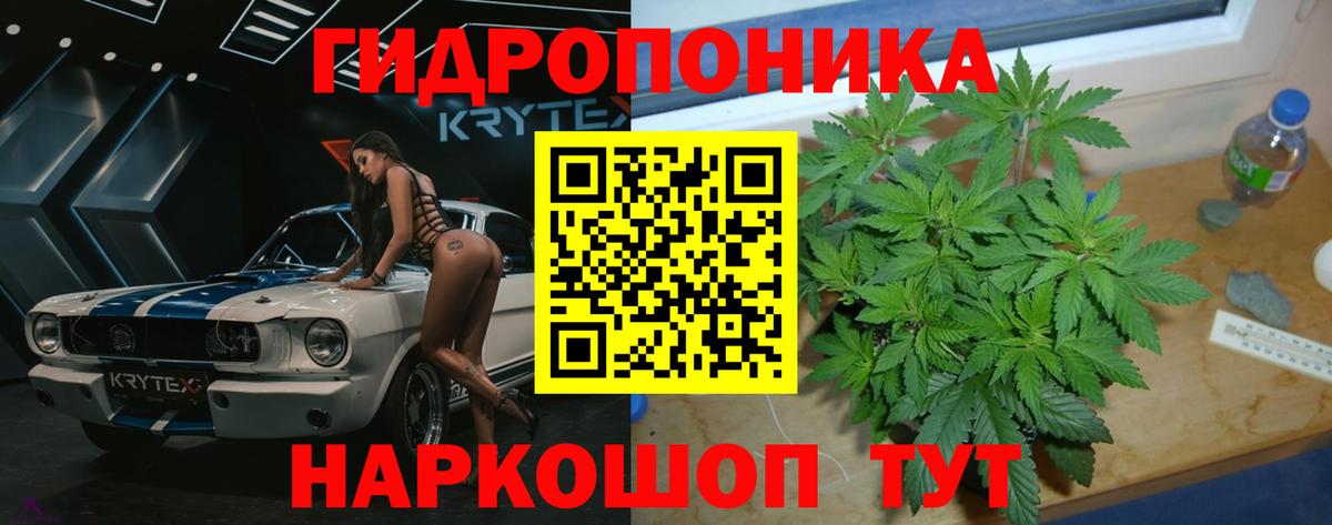Канабис индика Алатырь