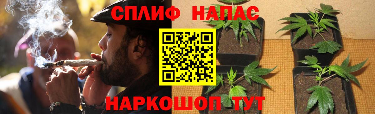 Алатырь  МАРИХУАНА гибрид  Вход с VPN  МАРИХУАНА AK-47  Бошки Шишки Amnesia 